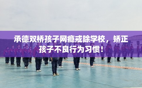 承德双桥孩子网瘾戒除学校，矫正孩子不良行为习惯！