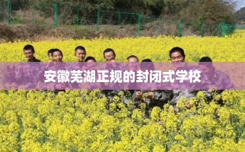 安徽芜湖正规的封闭式学校 安徽芜湖正规的封闭式学校