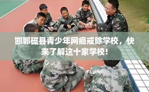 邯郸磁县青少年网瘾戒除学校,快来了解这十家学校! 邯郸磁县青少年网瘾戒除学校,快来了解这十家学校!
