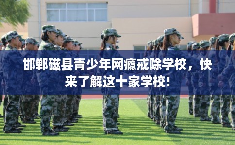 邯郸磁县青少年网瘾戒除学校，快来了解这十家学校!