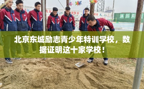 北京东城励志青少年特训学校，数据证明这十家学校！