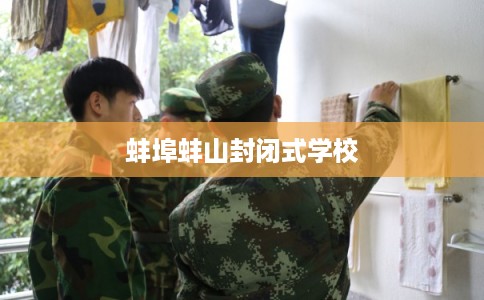 蚌埠蚌山封闭式学校