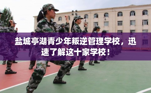 盐城亭湖青少年叛逆管理学校，迅速了解这十家学校！