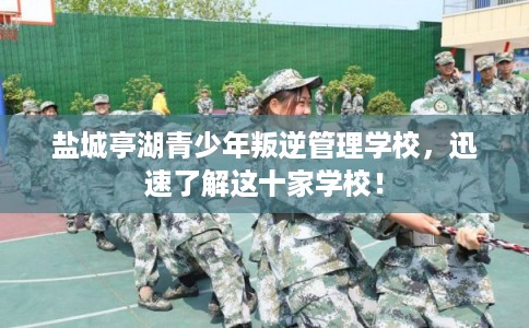 盐城亭湖青少年叛逆管理学校，迅速了解这十家学校！