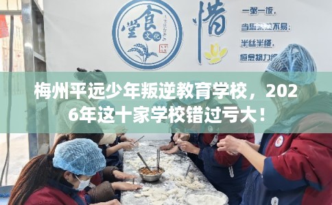 梅州平远少年叛逆教育学校，2026年这十家学校错过亏大！