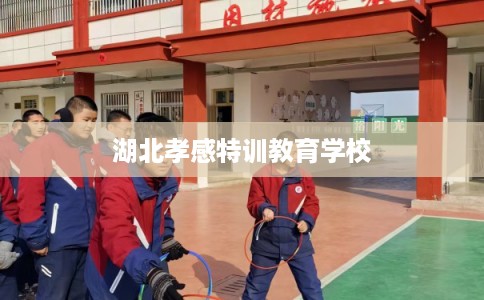 湖北孝感特训教育学校 湖北孝感特训教育学校