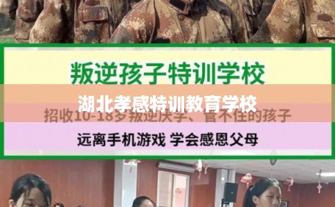 湖北孝感特训教育学校