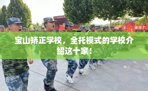 宝山矫正学校,全托模式的学校介绍这十家! 宝山矫正学校,全托模式的学校介绍这十家!