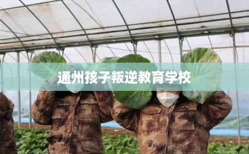 通州孩子叛逆教育学校