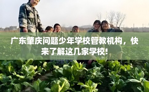 广东肇庆问题少年学校管教机构，快来了解这几家学校!