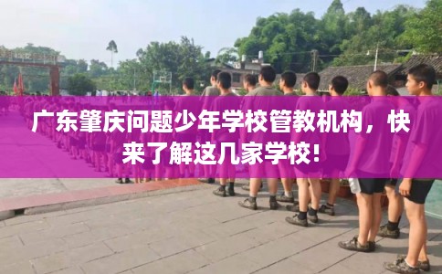 广东肇庆问题少年学校管教机构，快来了解这几家学校!