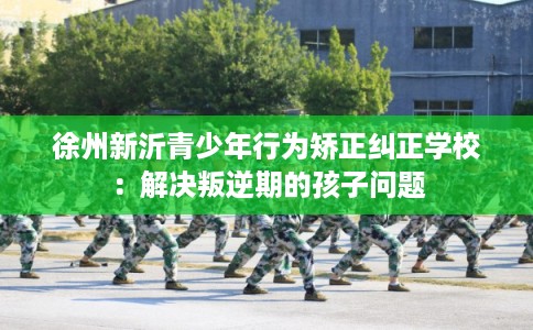 徐州新沂青少年行为矫正纠正学校：解决叛逆期的孩子问题
