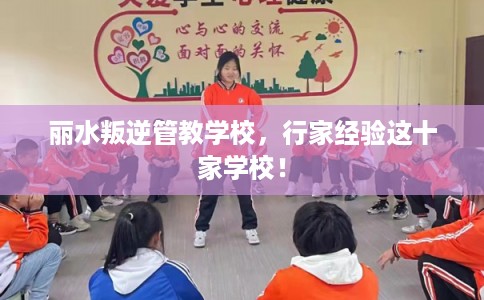 丽水叛逆管教学校，行家经验这十家学校！