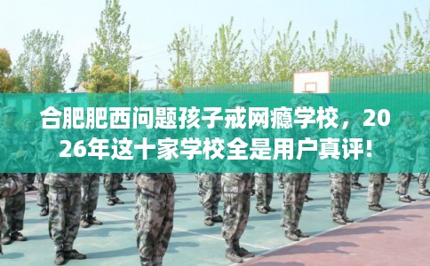 合肥肥西问题孩子戒网瘾学校，2026年这十家学校全是用户真评!