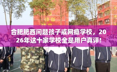 合肥肥西问题孩子戒网瘾学校，2026年这十家学校全是用户真评!