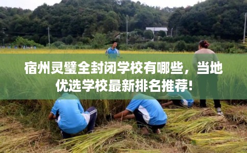 宿州灵璧全封闭学校有哪些，当地优选学校最新排名推荐!