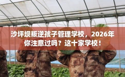沙坪坝叛逆孩子管理学校，2026年你注意过吗？这十家学校！