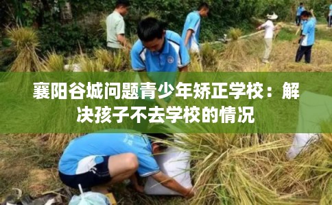 襄阳谷城问题青少年矫正学校：解决孩子不去学校的情况