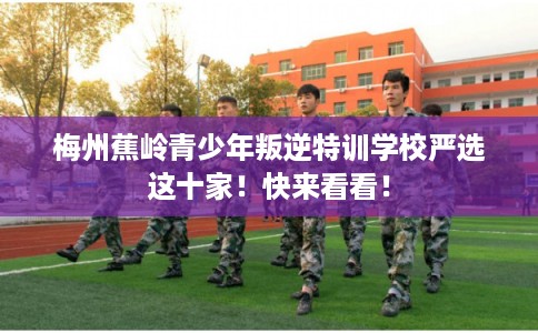 梅州蕉岭青少年叛逆特训学校严选这十家！快来看看！