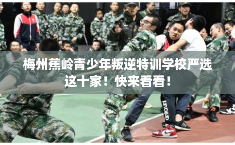 梅州蕉岭青少年叛逆特训学校严选这十家！快来看看！