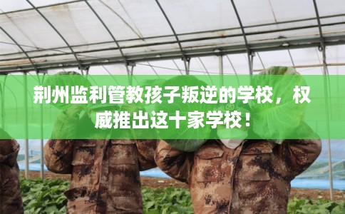 荆州监利管教孩子叛逆的学校,权威推出这十家学校! 荆州监利管教孩子叛逆的学校,权威推出这十家学校!