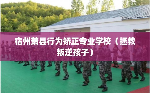 宿州萧县行为矫正专业学校(拯救叛逆孩子) 宿州萧县行为矫正专业学校(拯救叛逆孩子)