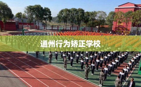 通州行为矫正学校