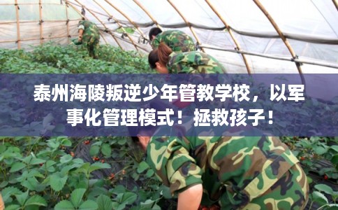 泰州海陵叛逆少年管教学校，以军事化管理模式！拯救孩子！