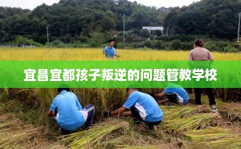 宜昌宜都孩子叛逆的问题管教学校 宜昌宜都孩子叛逆的问题管教学校