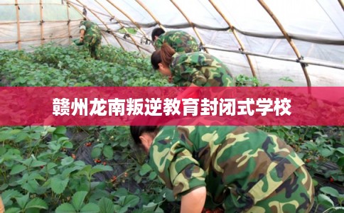 赣州龙南叛逆教育封闭式学校 赣州龙南叛逆教育封闭式学校