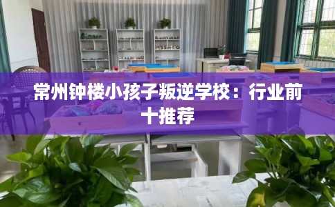 常州钟楼小孩子叛逆学校:行业前十推荐 常州钟楼小孩子叛逆学校:行业前十推荐