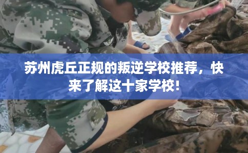 苏州虎丘正规的叛逆学校推荐,快来了解这十家学校! 苏州虎丘正规的叛逆学校推荐,快来了解这十家学校!