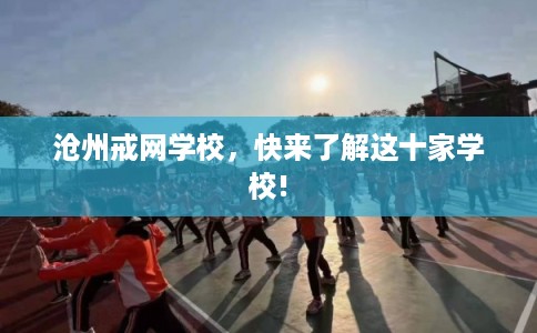 沧州戒网学校，快来了解这十家学校!