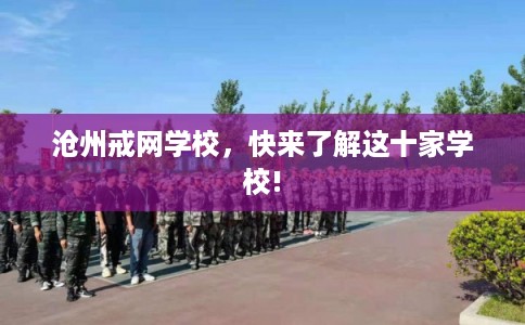 沧州戒网学校，快来了解这十家学校!