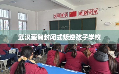 武汉蔡甸封闭式叛逆孩子学校 武汉蔡甸封闭式叛逆孩子学校