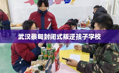 武汉蔡甸封闭式叛逆孩子学校