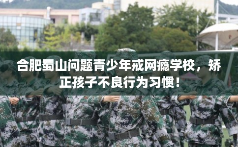 合肥蜀山问题青少年戒网瘾学校，矫正孩子不良行为习惯！