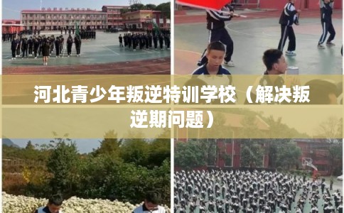 河北青少年叛逆特训学校（解决叛逆期问题）