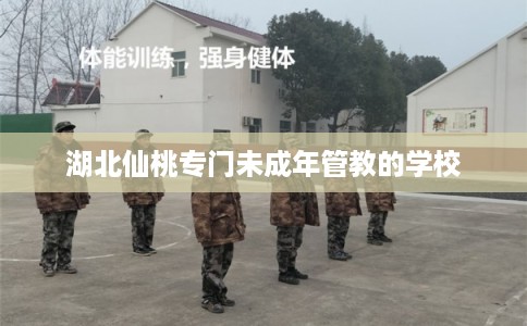 湖北仙桃专门未成年管教的学校