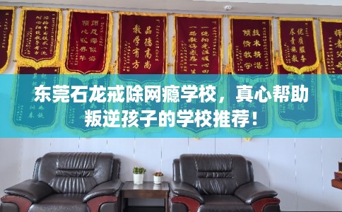 东莞石龙戒除网瘾学校，真心帮助叛逆孩子的学校推荐！