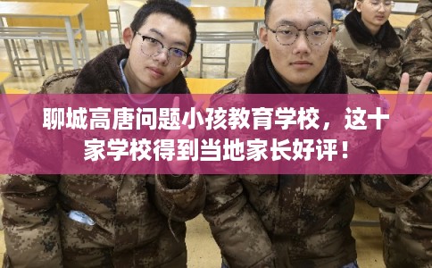 聊城高唐问题小孩教育学校，这十家学校得到当地家长好评！