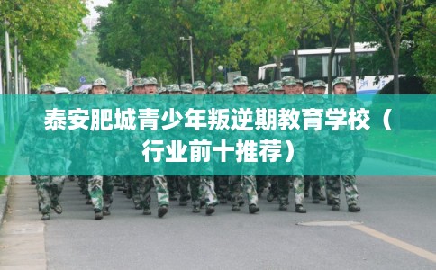 泰安肥城青少年叛逆期教育学校（行业前十推荐）