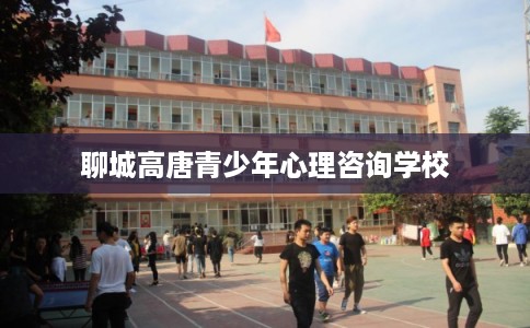 聊城高唐青少年心理咨询学校