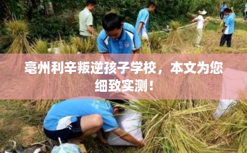 亳州利辛叛逆孩子学校，本文为您细致实测！