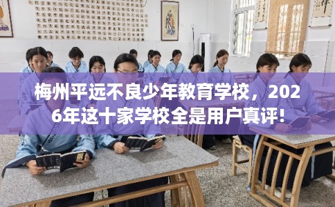 梅州平远不良少年教育学校,2026年这十家学校全是用户真评! 梅州平远不良少年教育学校,2026年这十家学校全是用户真评!