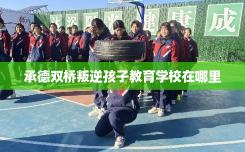 承德双桥叛逆孩子教育学校在哪里