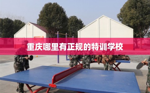 重庆哪里有正规的特训学校