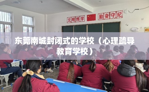 东莞南城封闭式的学校（心理疏导教育学校）