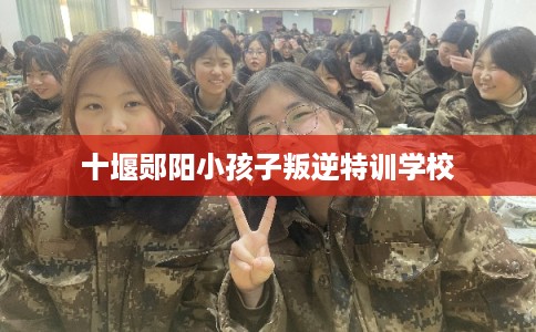 十堰郧阳小孩子叛逆特训学校 十堰郧阳小孩子叛逆特训学校