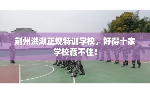 荆州洪湖正规特训学校，好得十家学校藏不住！